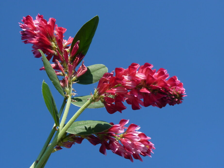 d26f3cf6f11fe8376a4124b68da7f31ff72e5547 d26f3cf6f11fe8376a4124b68da7f31ff72e5547