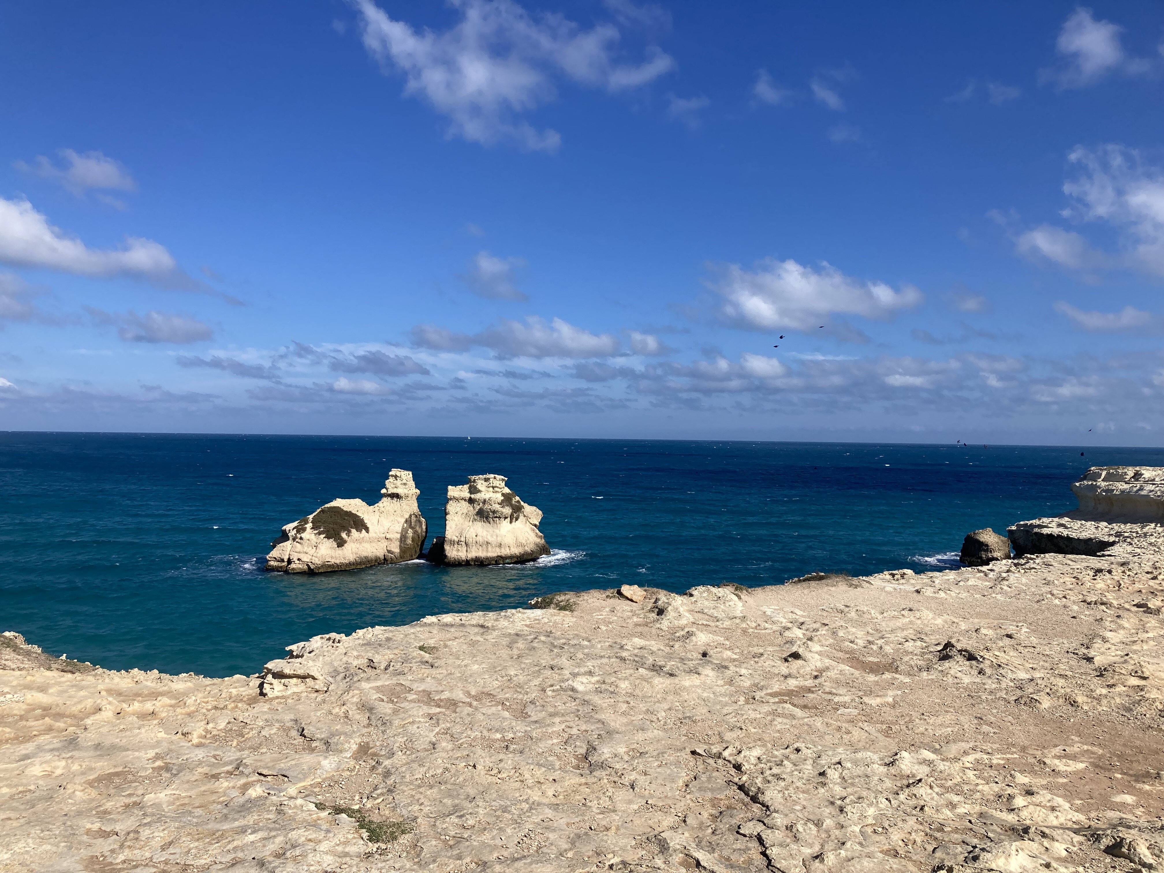 Torre dell'orso sulla costa adriatica