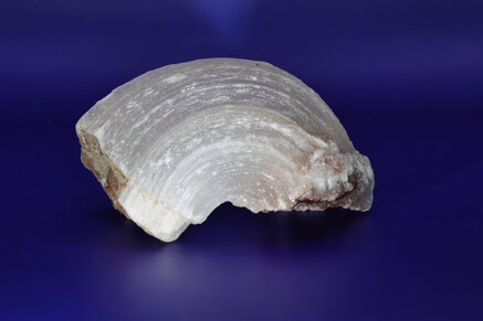 0c09e67f7220ae2f3a9a25c08c1937a8a155a29c