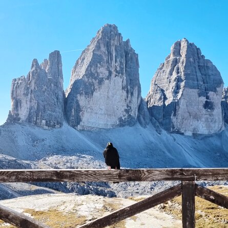 0da72d7aaf2a86a05679c5abf6658b408b600641