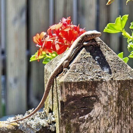 169e5a10f12181ce5c5b4a17cad5157a635ceb3d