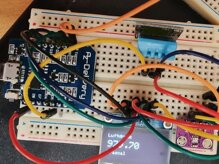 217381cd2418370c6023d65a0e41e6084a9d7dfc