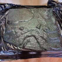 2ea6ed9c781e551066b3e9449d3064ff74874458