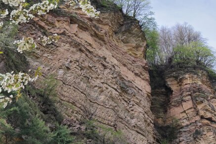 4bd299c63da79a6428676a986b2958f59cbb406c