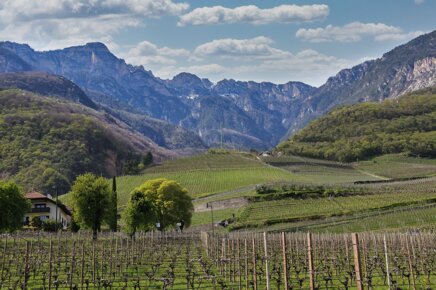 e6f0a145-7484-4be2-88b2-71c0ba1ca60e