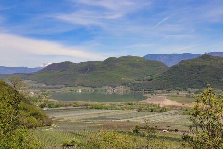 7dc925b6abbeac6f5fe03c4b4db23dde50add2cf