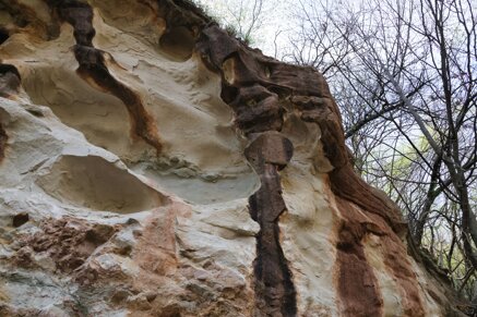 8adc8f88e916e33224466f931877b465ab7b02be