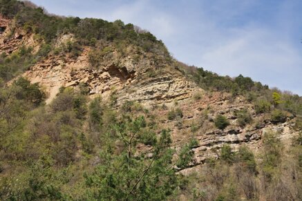 8e822b00ac86e7fe2371cc966ba0898ef3c8bc67