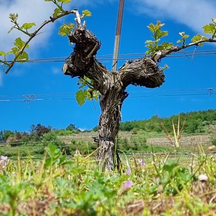 b0a8e086085fc5a115ab11f046a6e09b3ec7b5c9