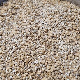 bd22238cf8b508a29851e26be1bbc144f3758f5e