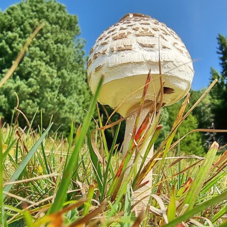 e3c4f4275aabf7c95ac78f6102918a6f0bccbd28