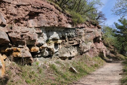 f572e31703f668577fc99bd783fa4f57896c463f