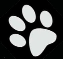 07f7bbdd08aac7753a2633ef498ec9ddfe1e9647