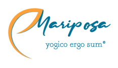 492cf3eacc68820a3aa8e7152af972869e5df3a0