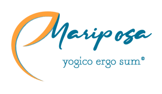 492cf3eacc68820a3aa8e7152af972869e5df3a0