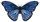 840d2575005dbfa47fdaaa1d422d4d3e7f9a68b8