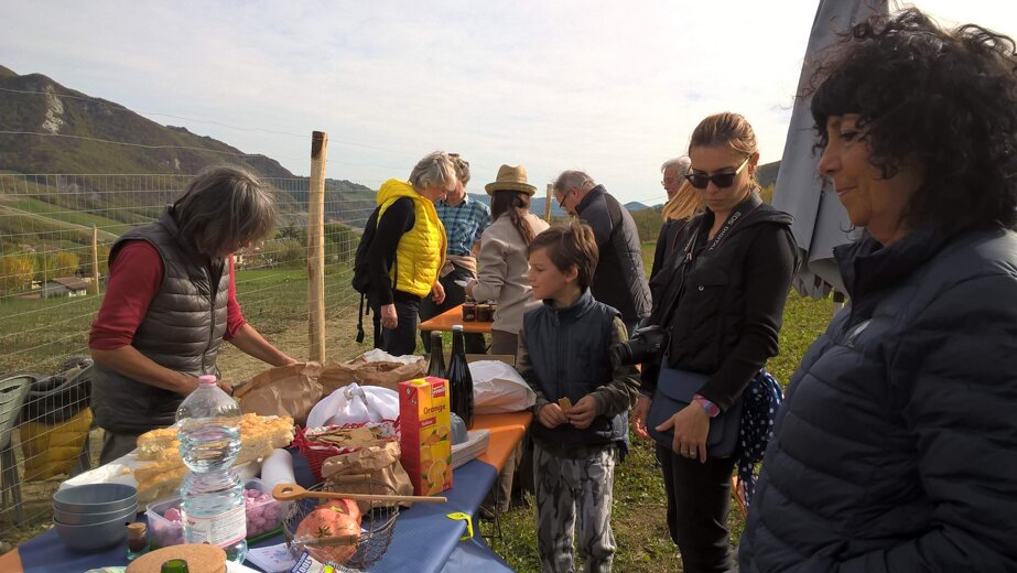 1d4523734f6f62adac9afa3c7e3dcb9211c843f0