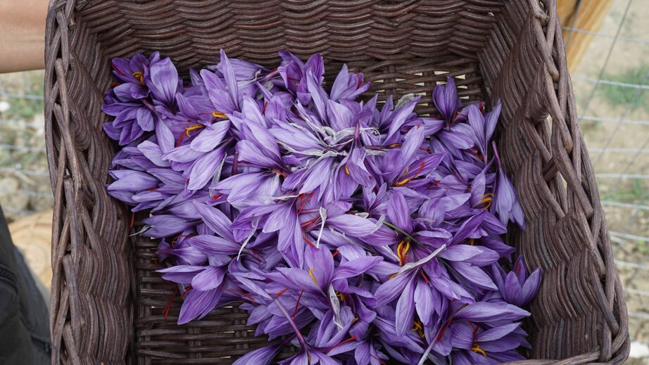 2814217b68fc2b00e84b732f9aa0786864b72221