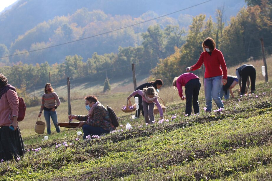 47a8dbdb3eb49482c2ad7955e766427cc3dc5473 47a8dbdb3eb49482c2ad7955e766427cc3dc5473