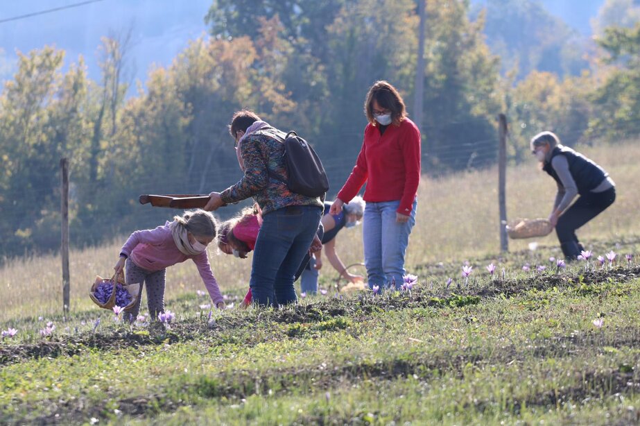 4a60ee588361b9023754c31ea893d8169c7454a8 4a60ee588361b9023754c31ea893d8169c7454a8