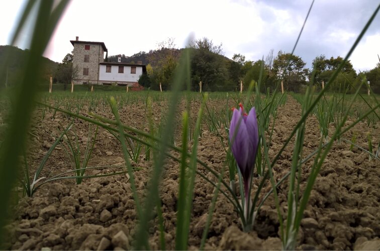 4cd0dd421aeeacc226414d315b5c570989bdb32c