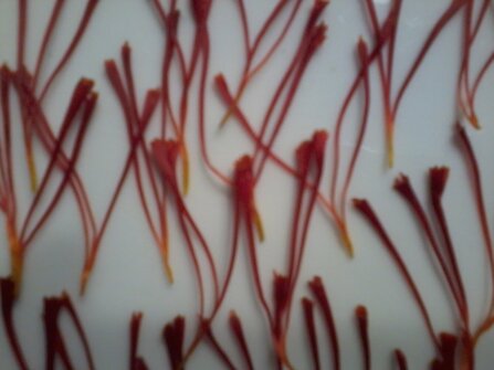 4dfd48913ffb826c2f755db1d58e11afe65f471c