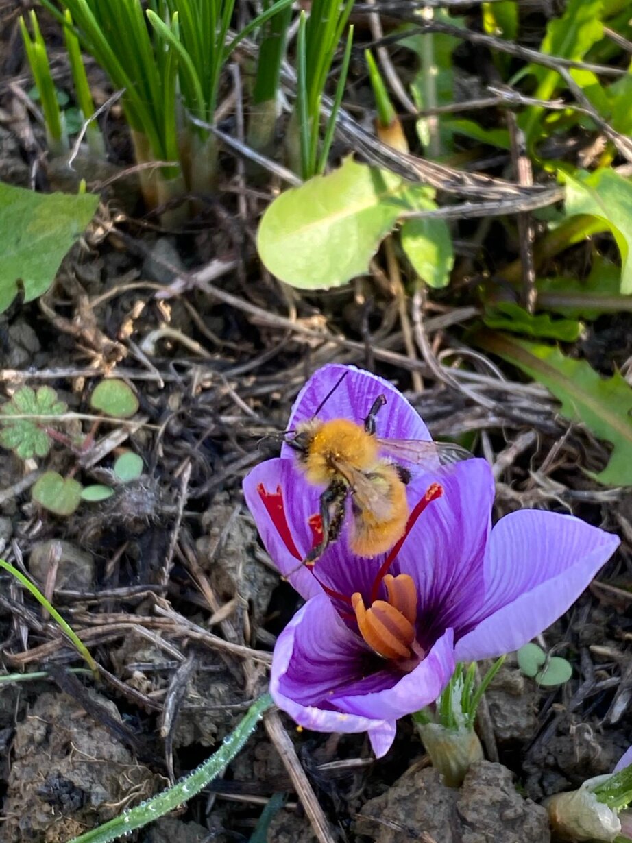 4ee1599ee884373c9b6f9e61de0dc413c5baa04d 4ee1599ee884373c9b6f9e61de0dc413c5baa04d