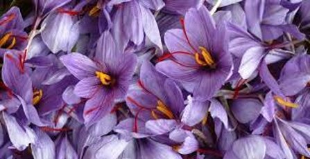 50f3ca302e073d81cb749e8d11c01b77eda26aed