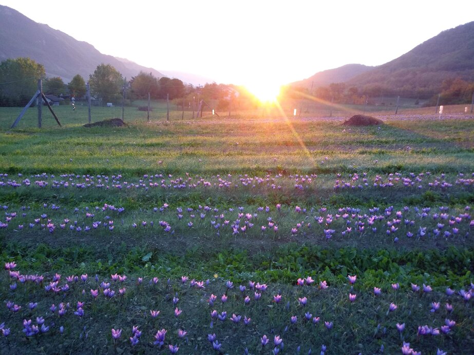 52094141fe17048b84964bf0f44d957ed7136ad1 52094141fe17048b84964bf0f44d957ed7136ad1