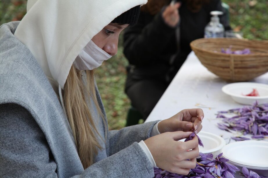 559251c40315c1e0868e4d90a37429e4cf9191c9 559251c40315c1e0868e4d90a37429e4cf9191c9