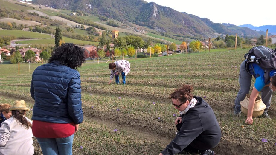 5d281a340eea9660110a0793ec7c3e9050eacfe0