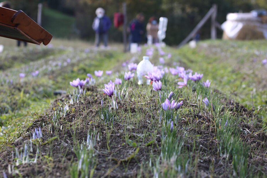 699edcbc22f89d59dc2073d150e4c738f34661e9 699edcbc22f89d59dc2073d150e4c738f34661e9