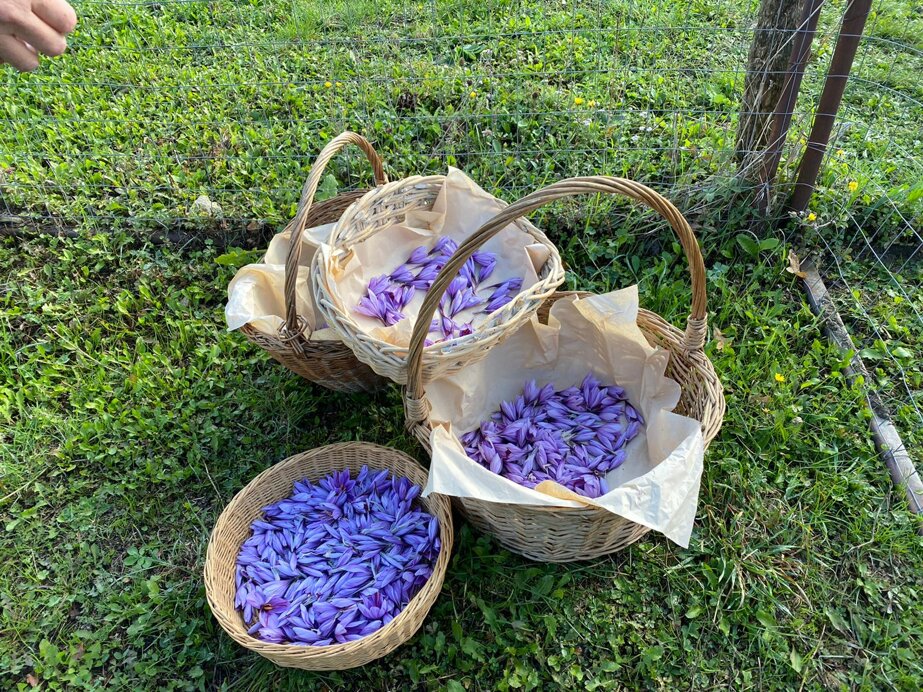 706e0a808df5844bda80970f8416587e9594fc39 706e0a808df5844bda80970f8416587e9594fc39