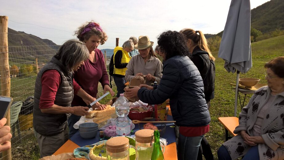 81faea4f63f1ed2f47201509286028c43c18b3e7