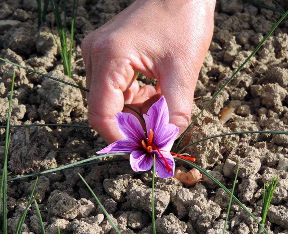 8f48f0fc18b6406c6cffd816cc837b9c1be8222b