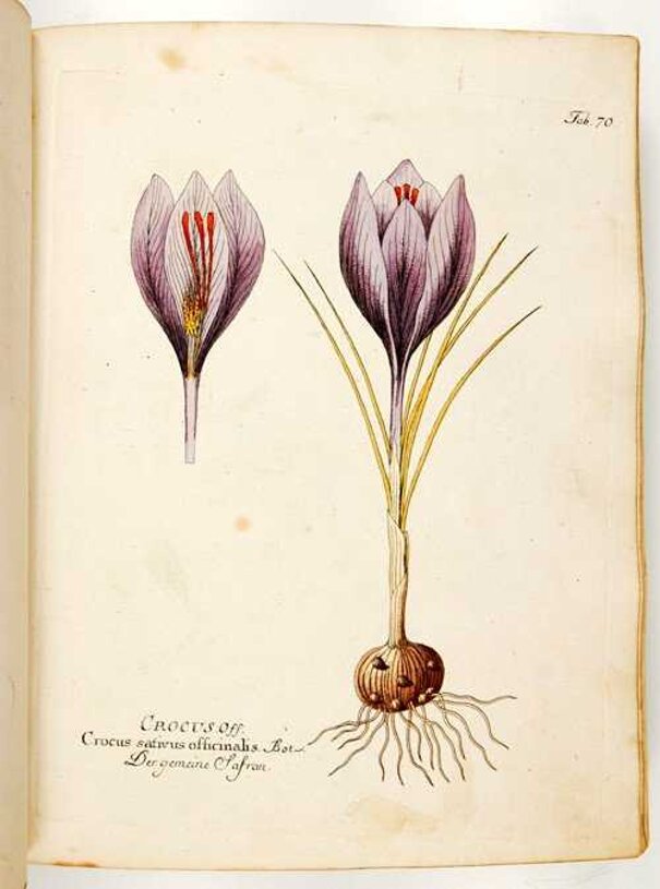 92ad6bdc7bc71b7ccd0c56ae94731c22fdcafde9