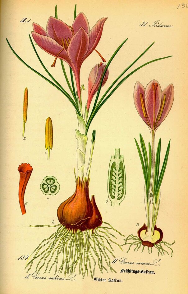 965702c787bb2bbc7ded527a1caff6c903bb3e6e