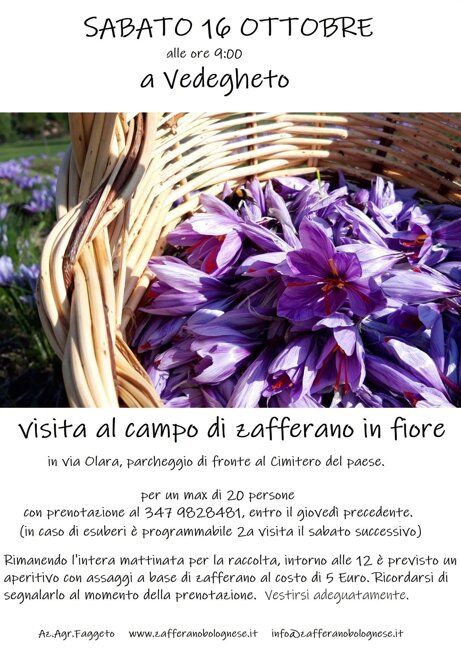 98374318b65dc1dbb45a73529ae3f3193e0481c5