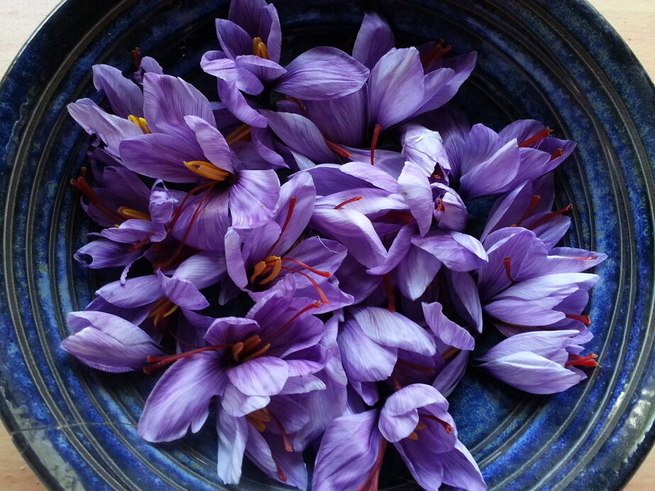 b6a548518671afe290b0d42b075a0a5756b2a8c9