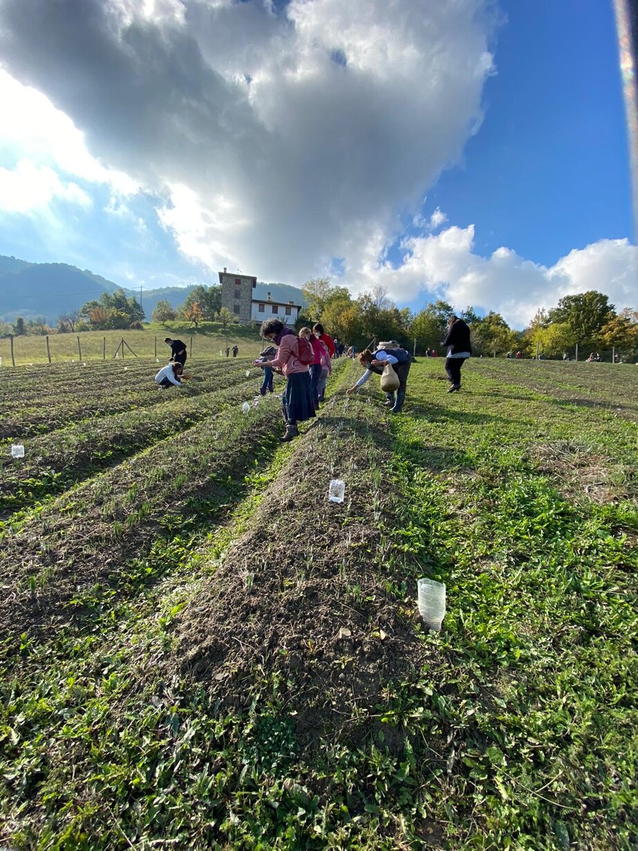 bf0c42153b33f4b52fd29905265a205e911ff7f3 bf0c42153b33f4b52fd29905265a205e911ff7f3