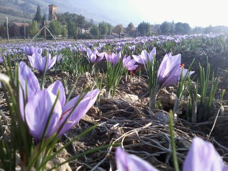 c926906df36e35b710bbc363f25cbfde61ab83b0