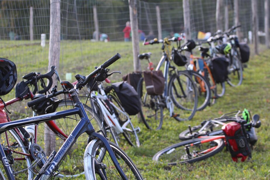 d13d374ea5a38d99f59bb46fdef2c25bb71396e6 d13d374ea5a38d99f59bb46fdef2c25bb71396e6