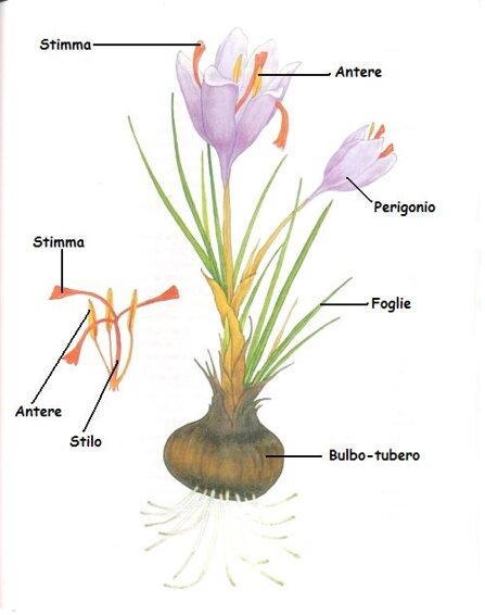 d439cebe1b803683d78eb7faf1e266cbfc95c4a4