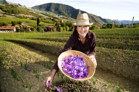 d6d2875eacf1953d13d85380870c578c4d27f2fd