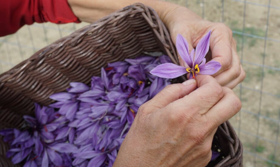 e79663e46fcbb477f39da24efe2c83b0f7346571