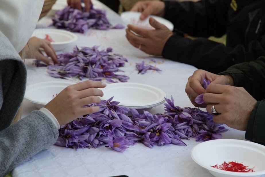 e7ddcf4e01f7b32a052b80914a76d216a9806e0f e7ddcf4e01f7b32a052b80914a76d216a9806e0f