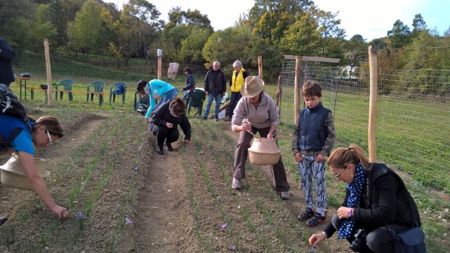 f361f3d761f495ba88c2d553cf29cc8ddab807ca