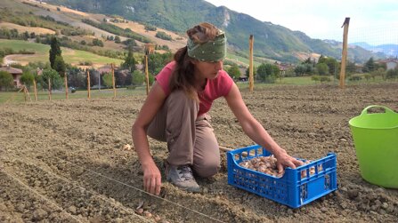 fbf4034727596bc3771cb3401a2f72379e762dbd