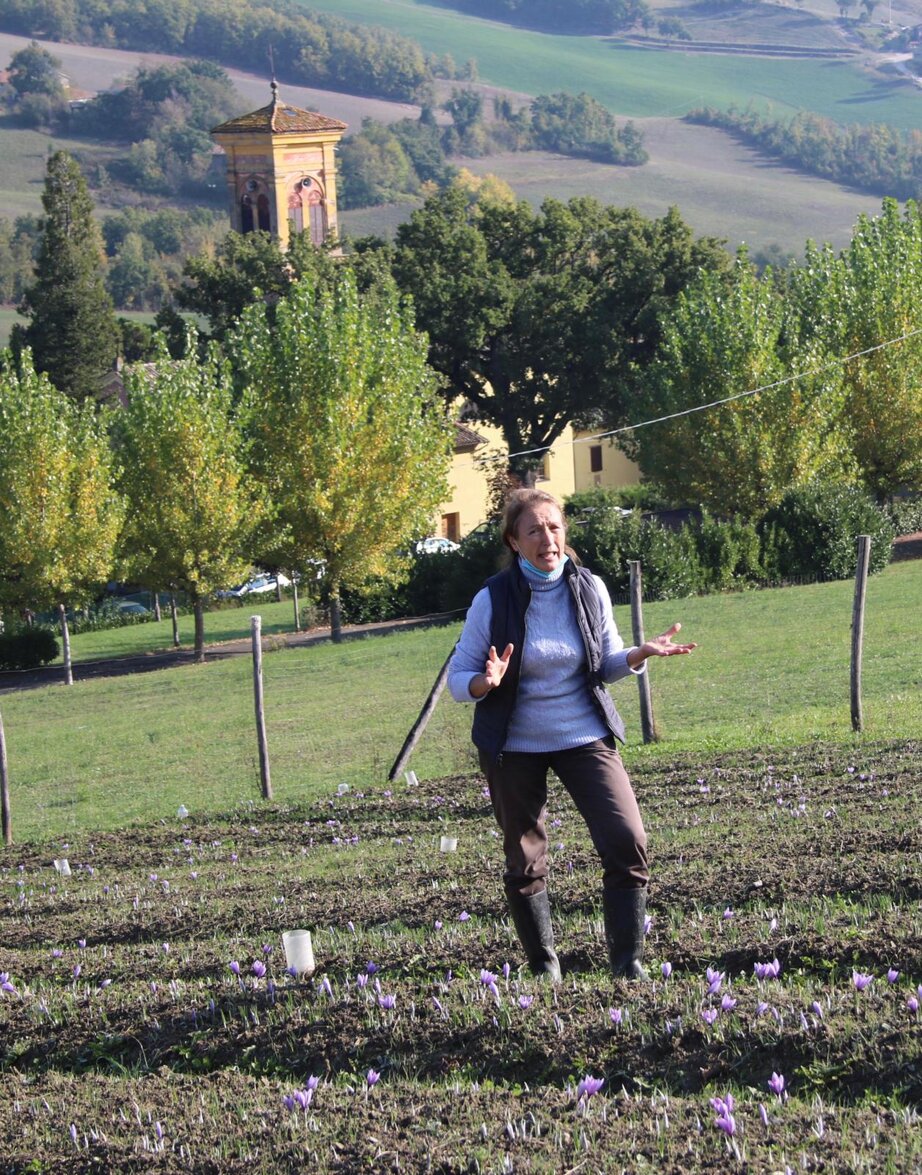 feed6a594d6355863b7f06b51c5e66b2ff8ec605 feed6a594d6355863b7f06b51c5e66b2ff8ec605