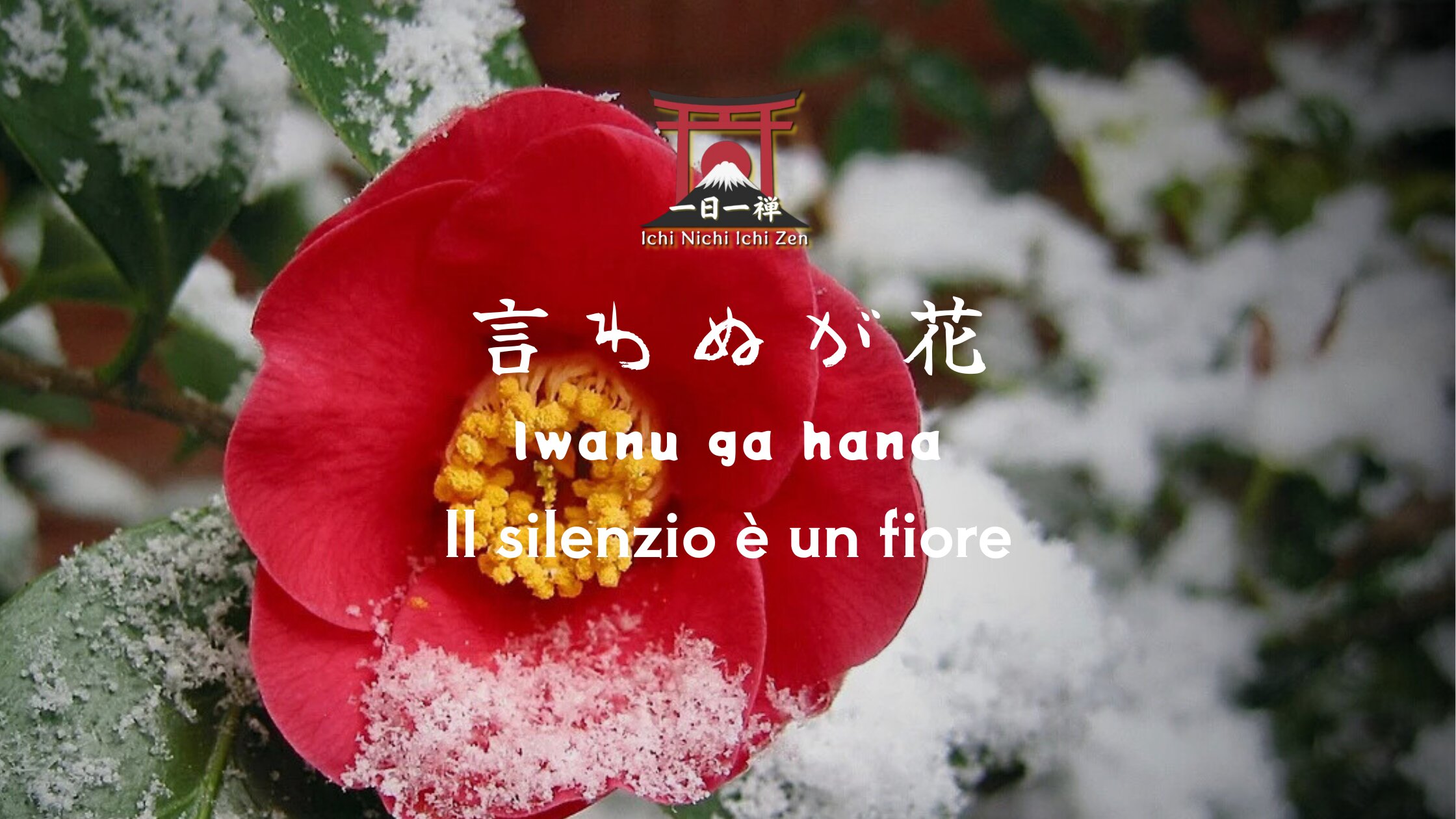 Iwanu ga hana: Quando il Silenzio Fiorisce